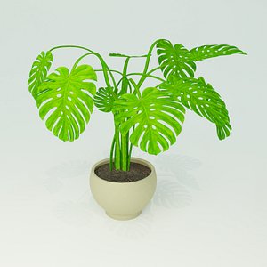 3D model monstera plant pot