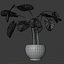 Planta Monstera