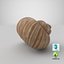 3D Snail Shell V1 model