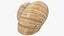 3D Snail Shell V1 model