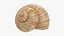 3D Snail Shell V1 model