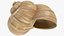 3D Snail Shell V1 model