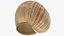 3D Snail Shell V1 model