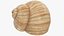 3D Snail Shell V1 model