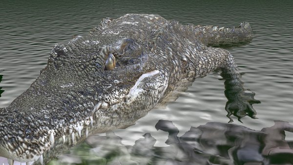 3D 3D CROCODILE RDAM MODEL JUNGLE