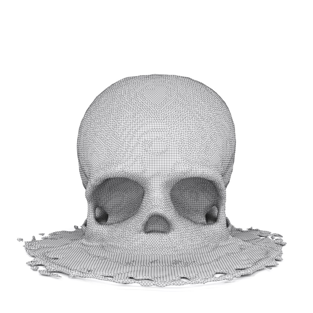 3D model melted skull https://p.turbosquid.com/ts-thumb/FT/3fGgD5/vI7h2Uv1/9/jpg/1528843279/1920x1080/fit_q87/b2117567d21e2d258a20be0f9af3955173eebd87/9.jpg