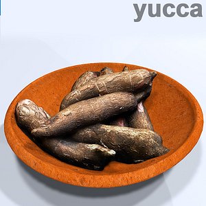yuca and clay comal