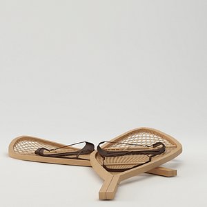 Snowshoes