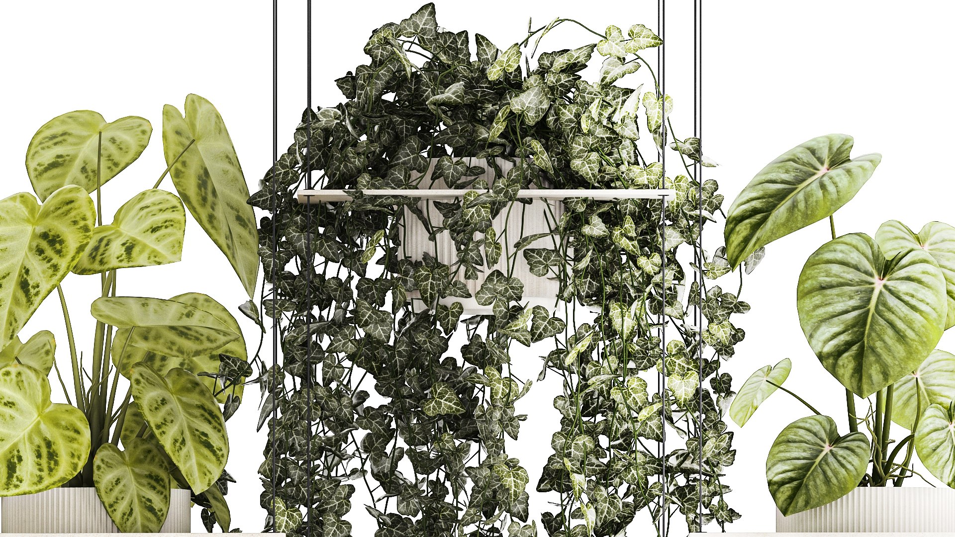 Shelf Hanging On Ropes Plants Pot Ivy Anthurium 1422 3D Model ...