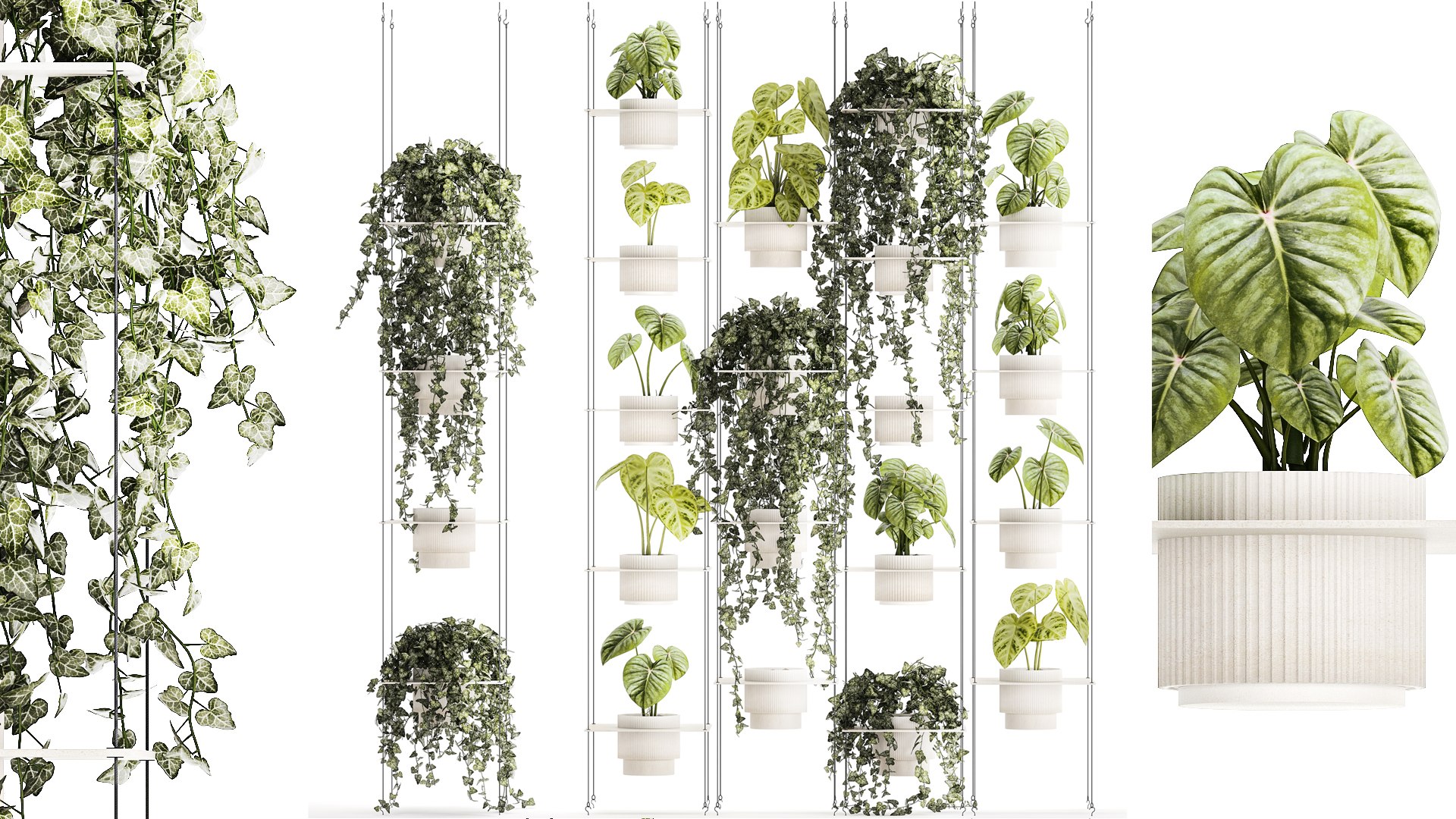 Shelf Hanging On Ropes Plants Pot Ivy Anthurium 1422 3D Model - TurboSquid  2137685