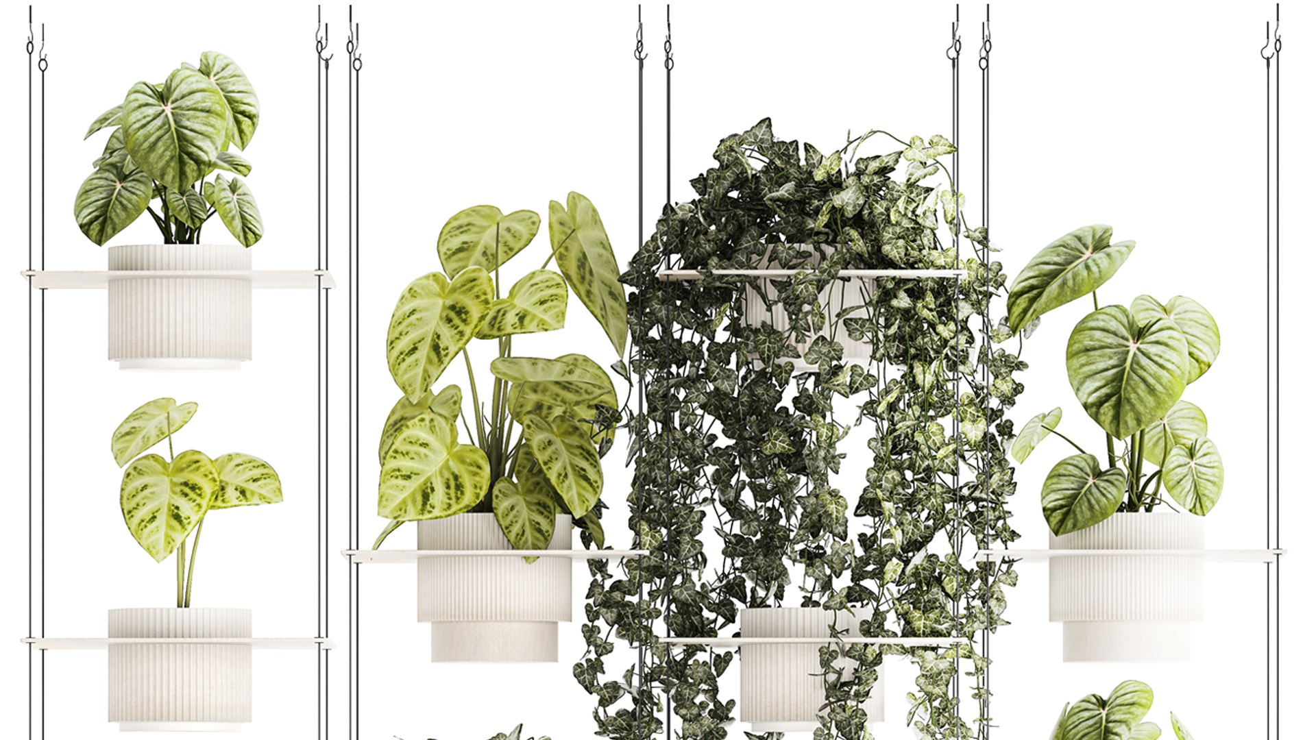 Shelf Hanging On Ropes Plants Pot Ivy Anthurium 1422 3D Model ...
