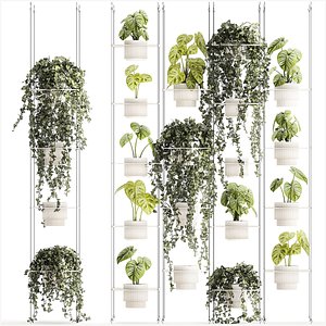 Shelf hanging on ropes plants pot Ivy Anthurium 1422 3D model