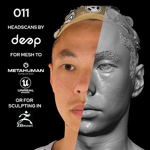 Asian Male 30s head scan 011