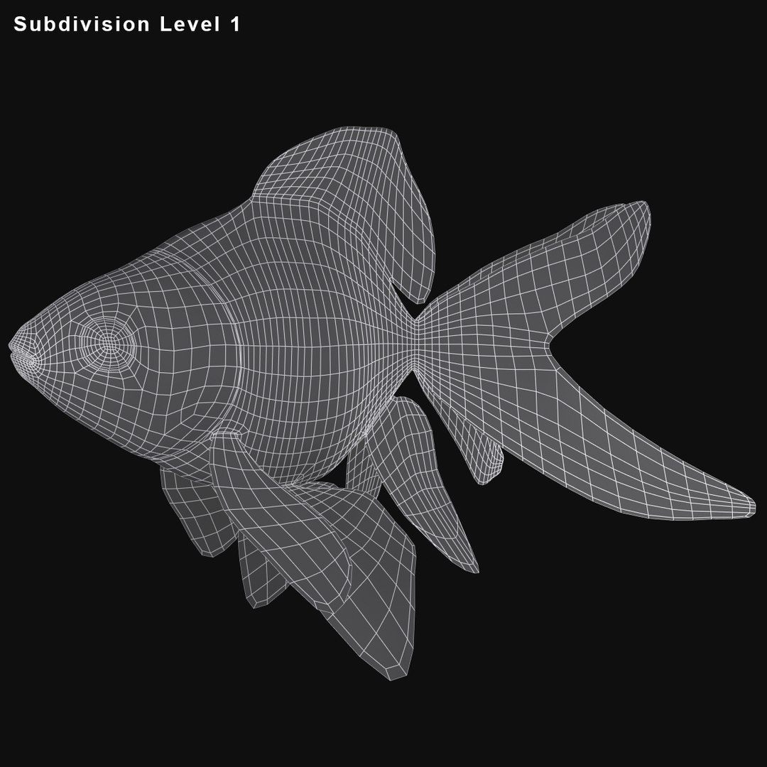 3D Model Goldfish 2 Fish - TurboSquid 1496733