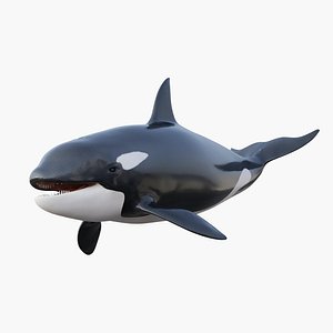 3D killer whale rigging animation model