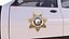 police car model