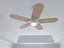 Ceiling Fan 4