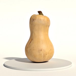 vegetable food 3D model