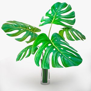 monstera plant 3d 3ds
