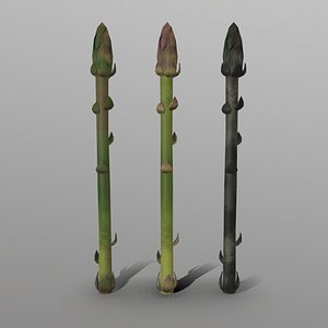 Asparagus