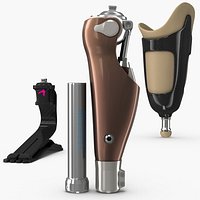 prosthesis