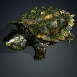 Alligator Turtle-V1b 3D