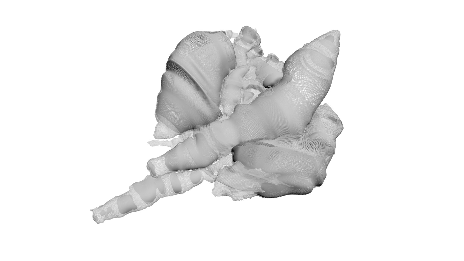 3D Chicken Lungs Model - TurboSquid 2249011