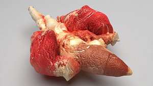Chicken Lungs