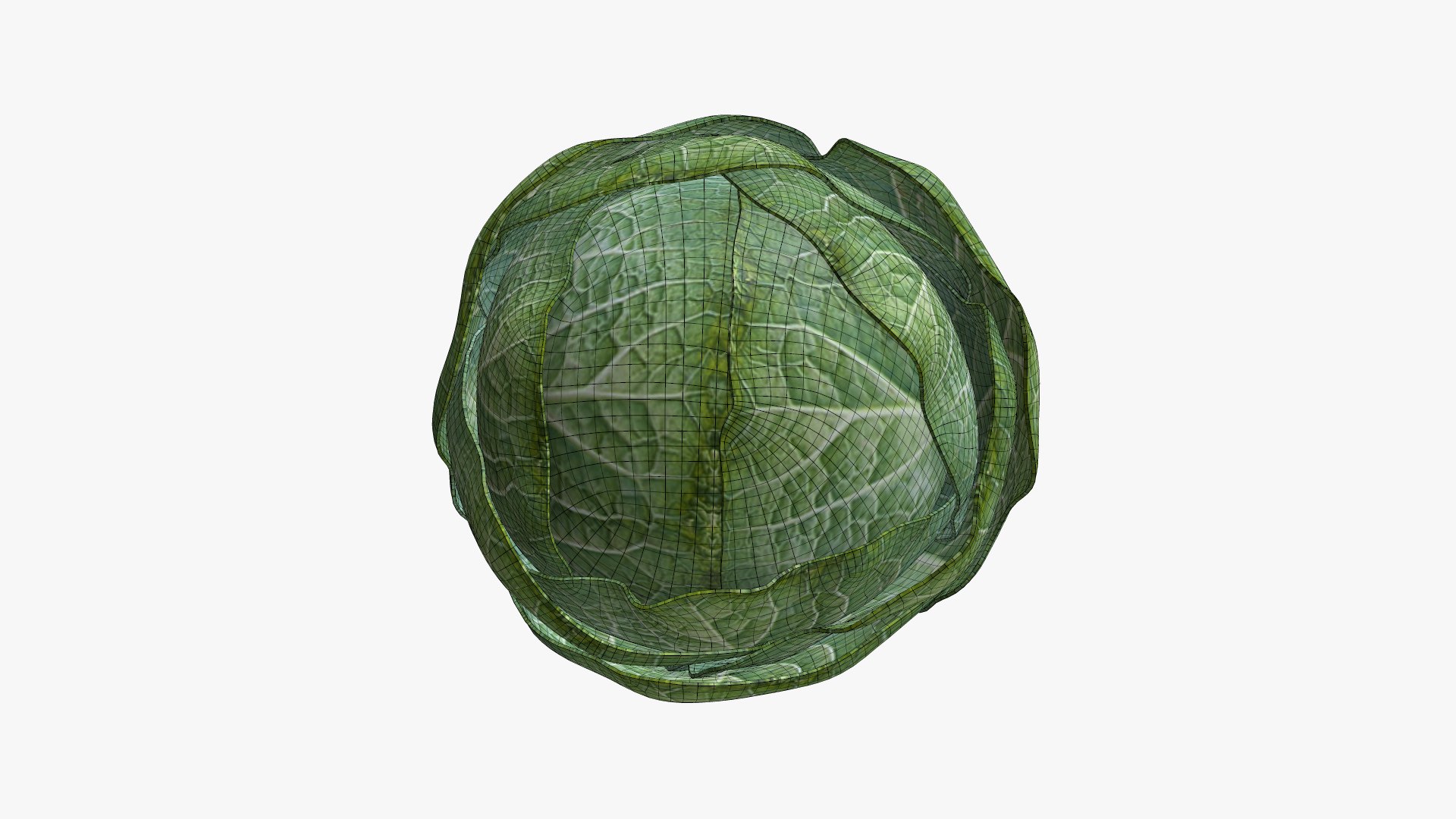 VEG-001 Cabbage 3D model - TurboSquid 1990878