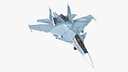Su-30 Fighter