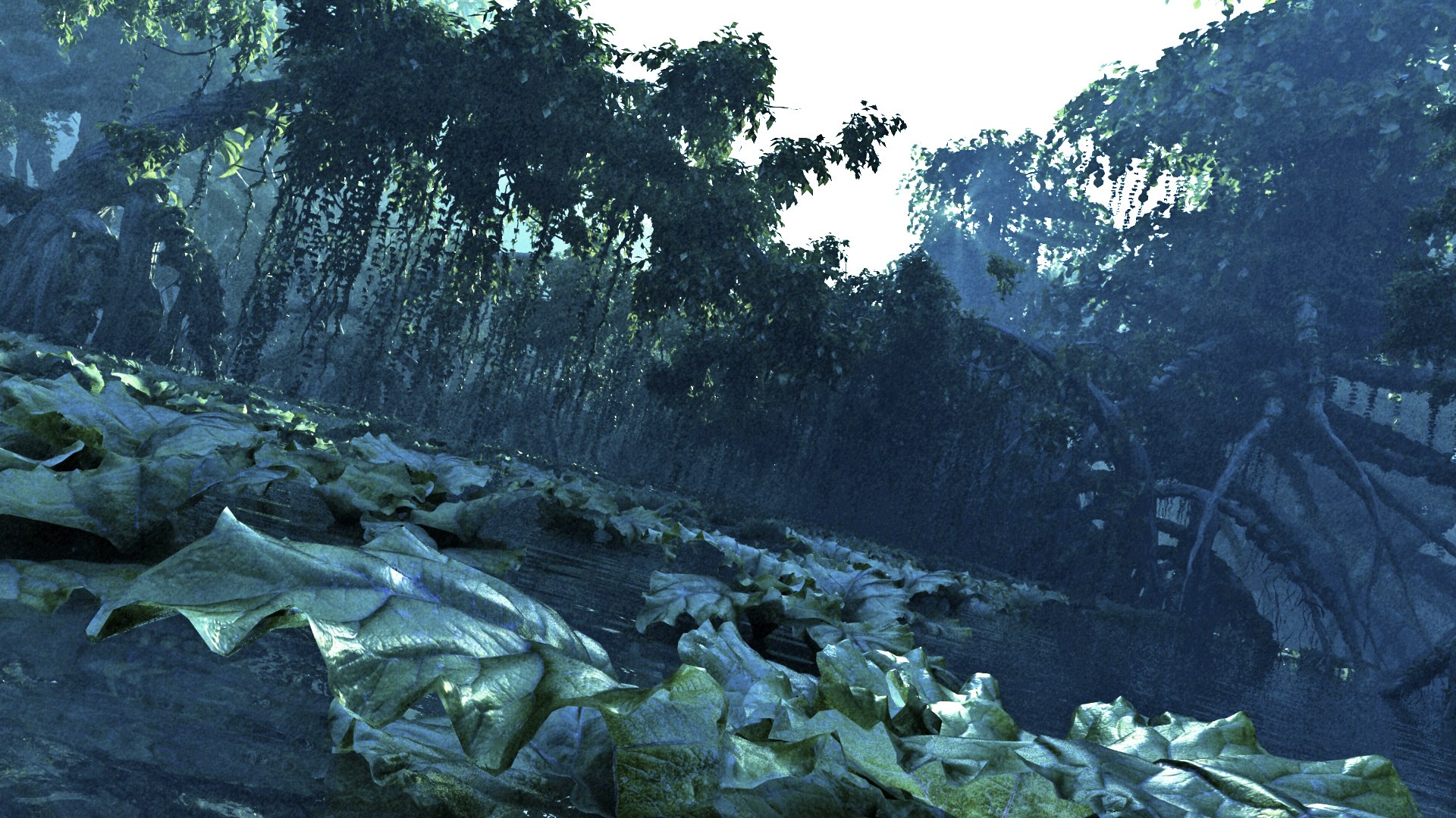 max mangrove forest ultra hd https://p.turbosquid.com/ts-thumb/FV/ZYuAm2/hyf3E3i4/233233/jpg/1476921841/1920x1080/fit_q87/e3f5bf45847b65059cf6c1dc3ad7e963fe6dc9dc/233233.jpg
