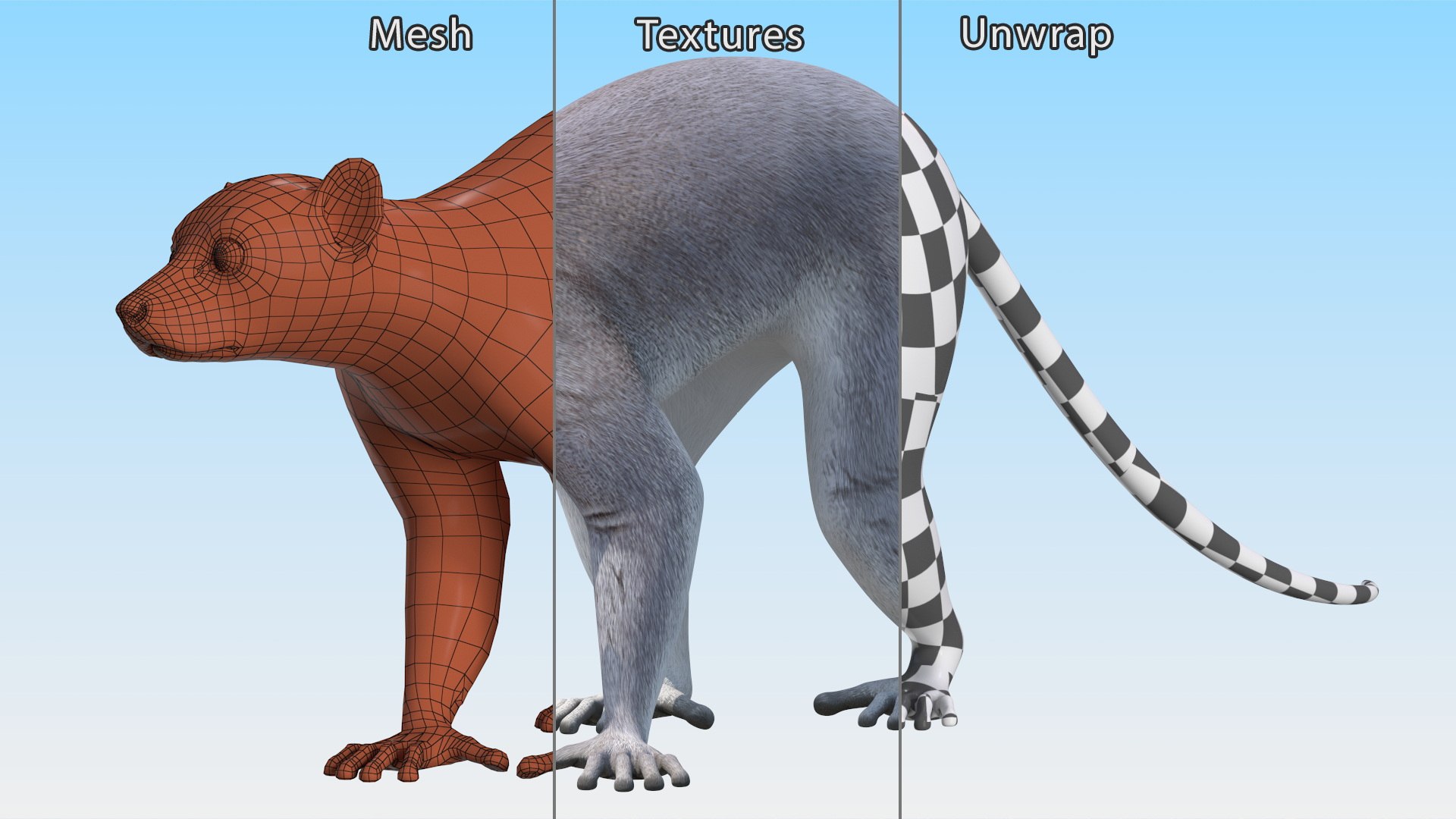 Grey Lemur Walking 3D Model - TurboSquid 2197400