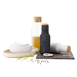 kitchen salt pepper 3D model