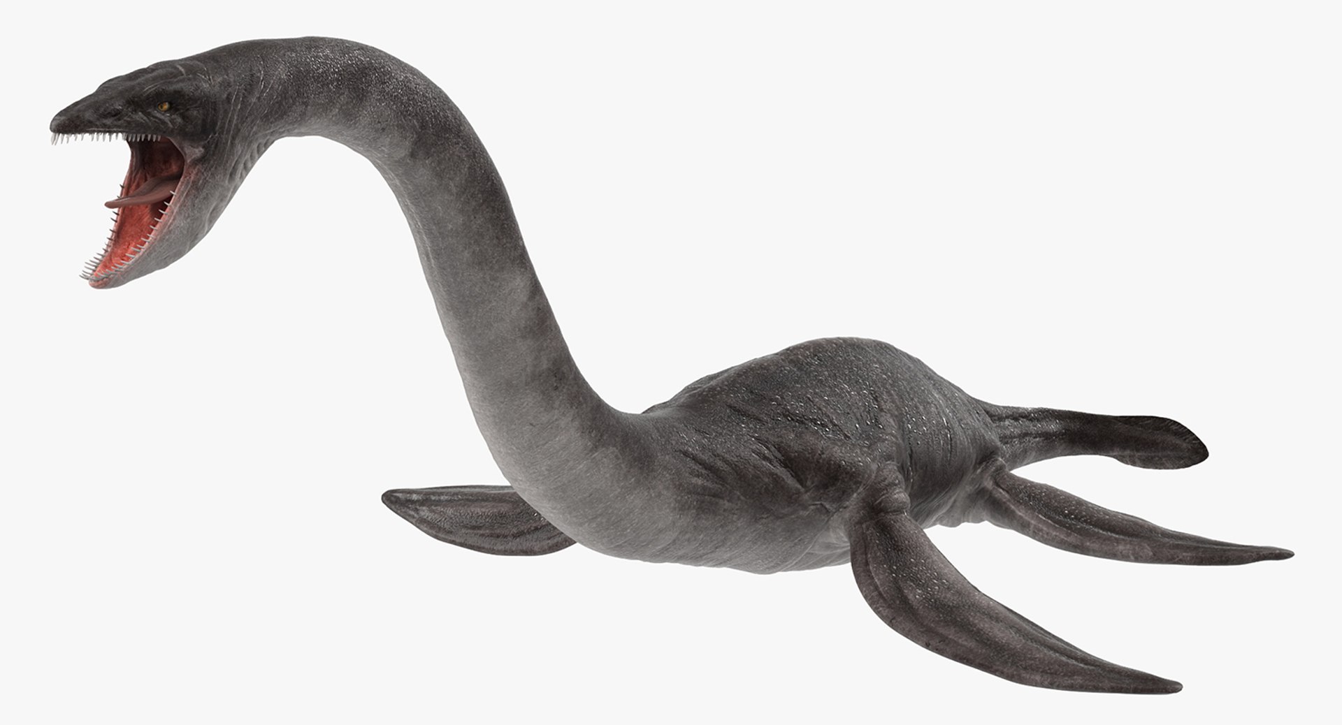 Plesiosauria Dinosaur Attacks Pose 3D Model 3D model preview