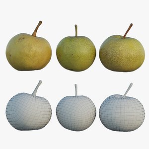 pear 08 model