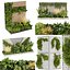 Colección planta vol 02 - fitowall - césped - vertical - jardín - palma - 3dsmax - cinema 4d