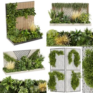Collection plant vol 02 - fitowall - grass - ertical - garden - palm - 3dsmax - cinema 4d