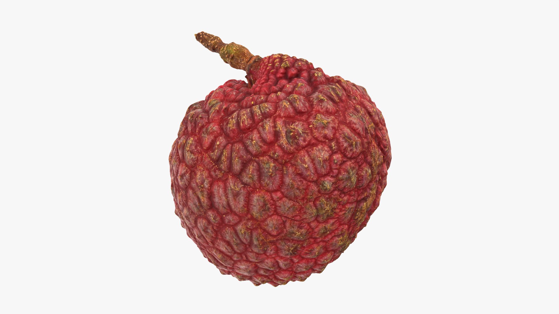 3D Fruits Collection 3 model https://p.turbosquid.com/ts-thumb/FW/74kCto/9U/lychee03_0002/png/1772883496/1920x1080/fit_q87/8e00a593b69d0f8fe7add2e5308ee320ce40b937/lychee03_0002.jpg