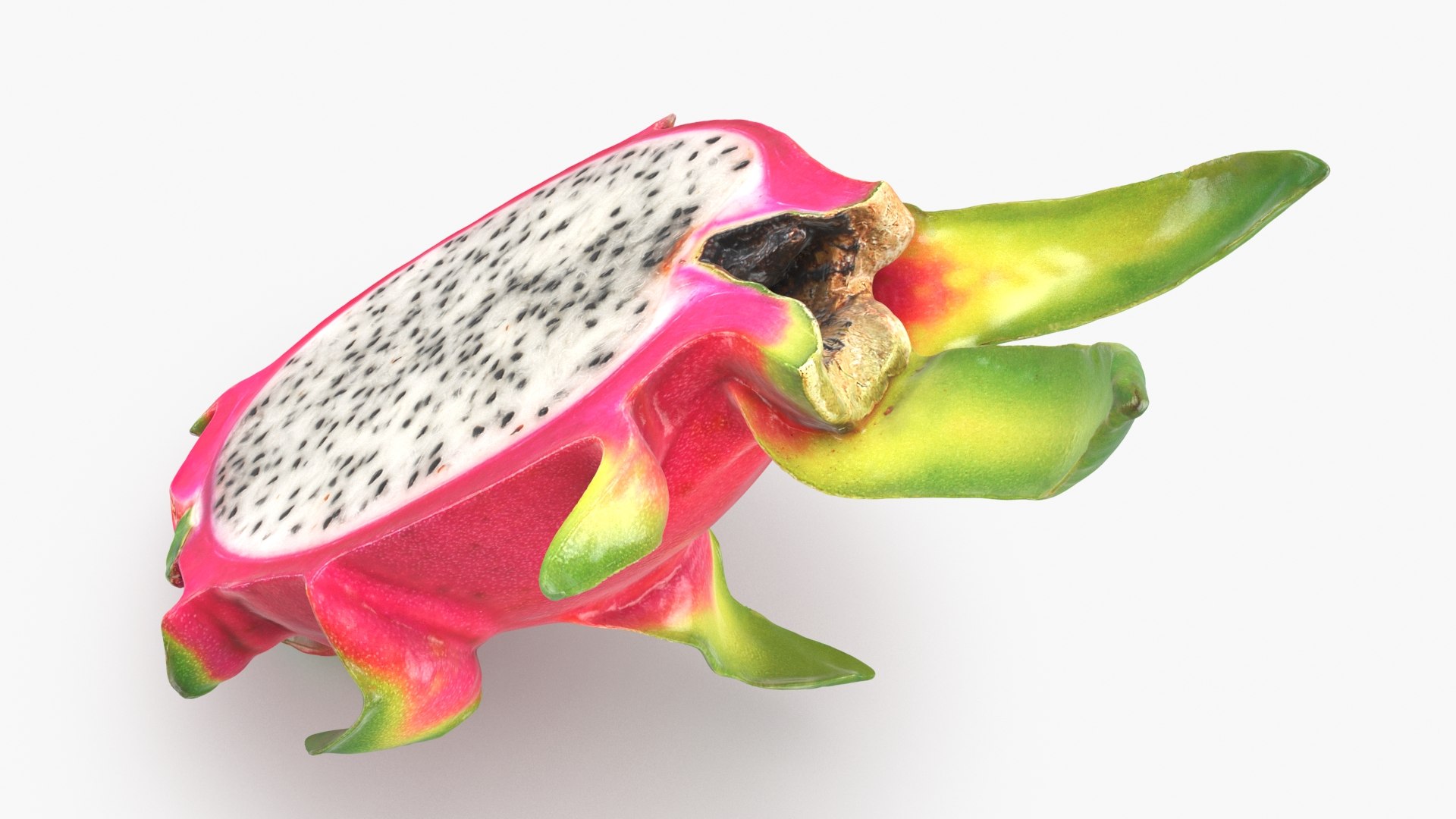 3D Fruits Collection 3 model https://p.turbosquid.com/ts-thumb/FW/74kCto/Co/dragonfruithalf_02_a0001/jpg/1772883488/1920x1080/fit_q87/8df77d4416dee5038f906a9dfcb45590450ff650/dragonfruithalf_02_a0001.jpg