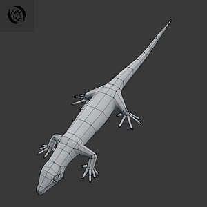 3D base lizard