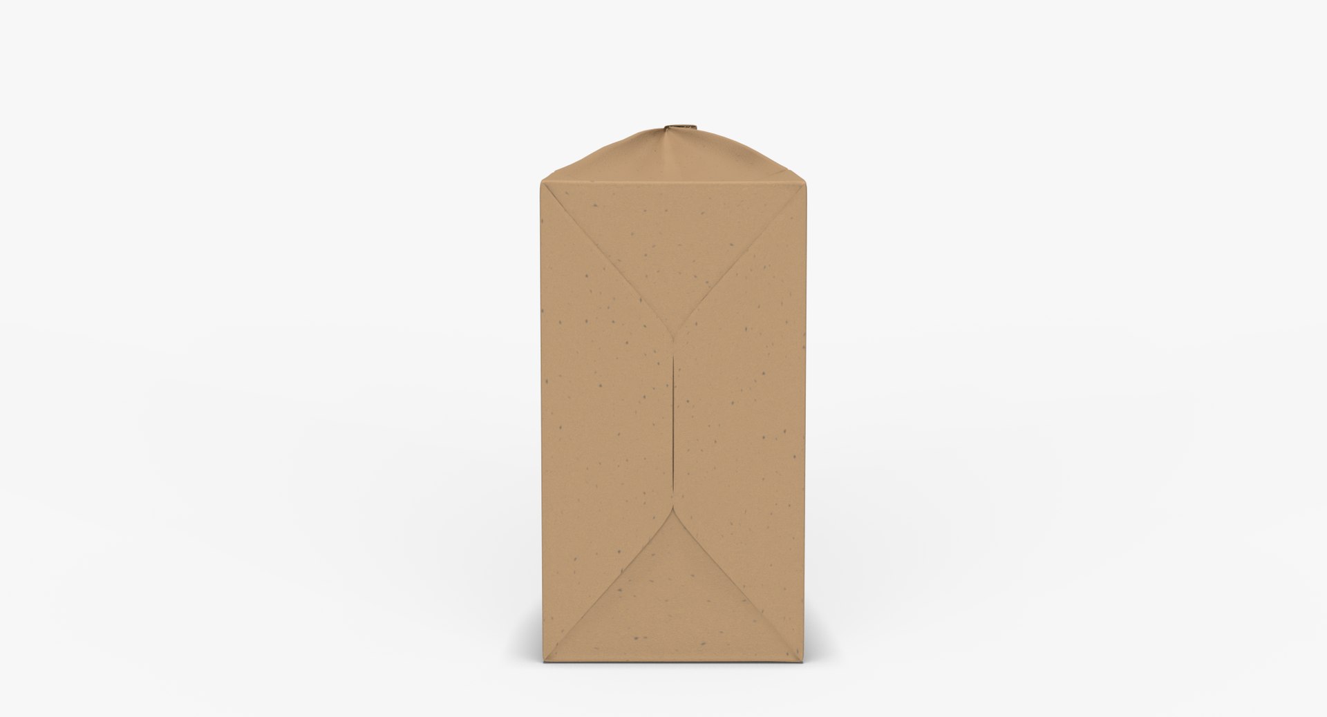 Brown Paper Bag X