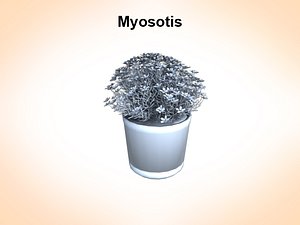 3ds myosotis flowering plants