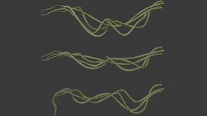 lianas 1