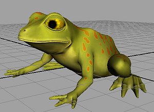 frog