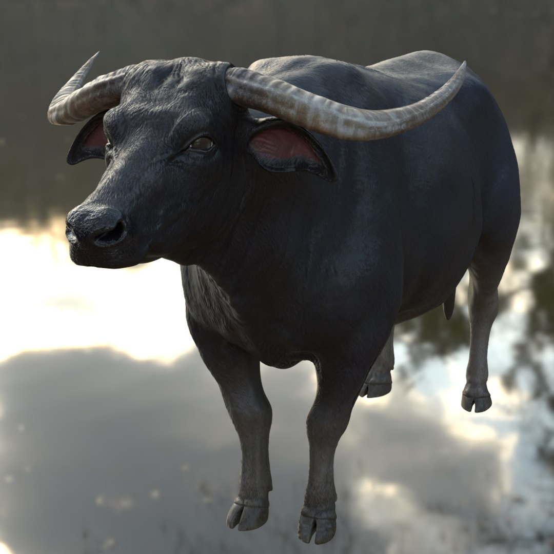 buffalo rigged 3D https://p.turbosquid.com/ts-thumb/FW/udfuWf/WBMDCRQb/buffalo02/jpg/1600104689/1920x1080/fit_q87/4f888b16ca98ead9b923ffa314d76d76544d1d17/buffalo02.jpg