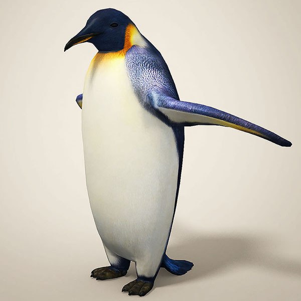 Penguin 3d discount