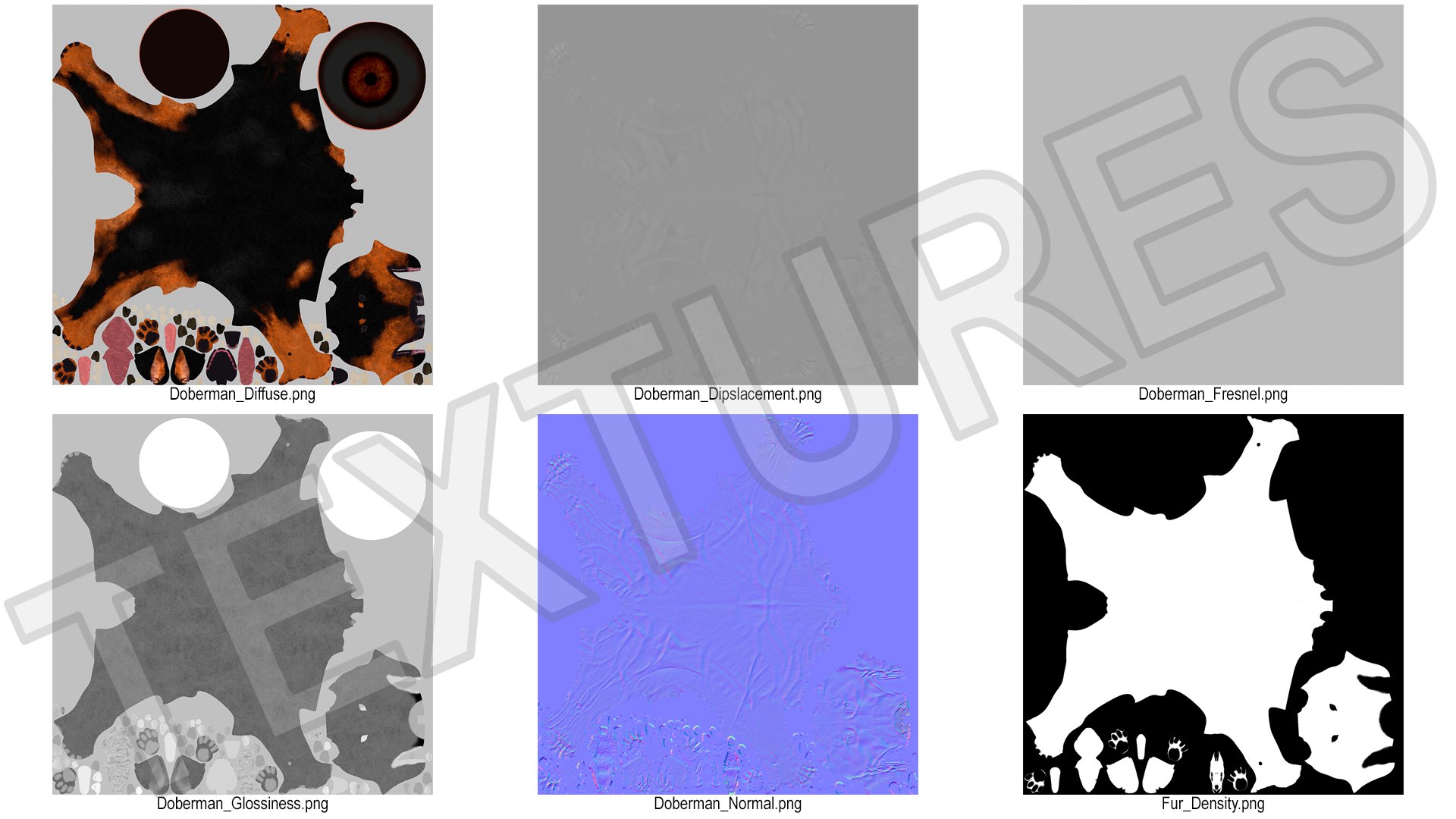 Doberman Pinscher Fur for Maya model https://p.turbosquid.com/ts-thumb/FX/3ftI2y/NM/doberman_pinscher_fur_013/jpg/1753821126/1920x1080/fit_q87/4e74d6735d83bd78954e2462b7238841657f5c5c/doberman_pinscher_fur_013.jpg