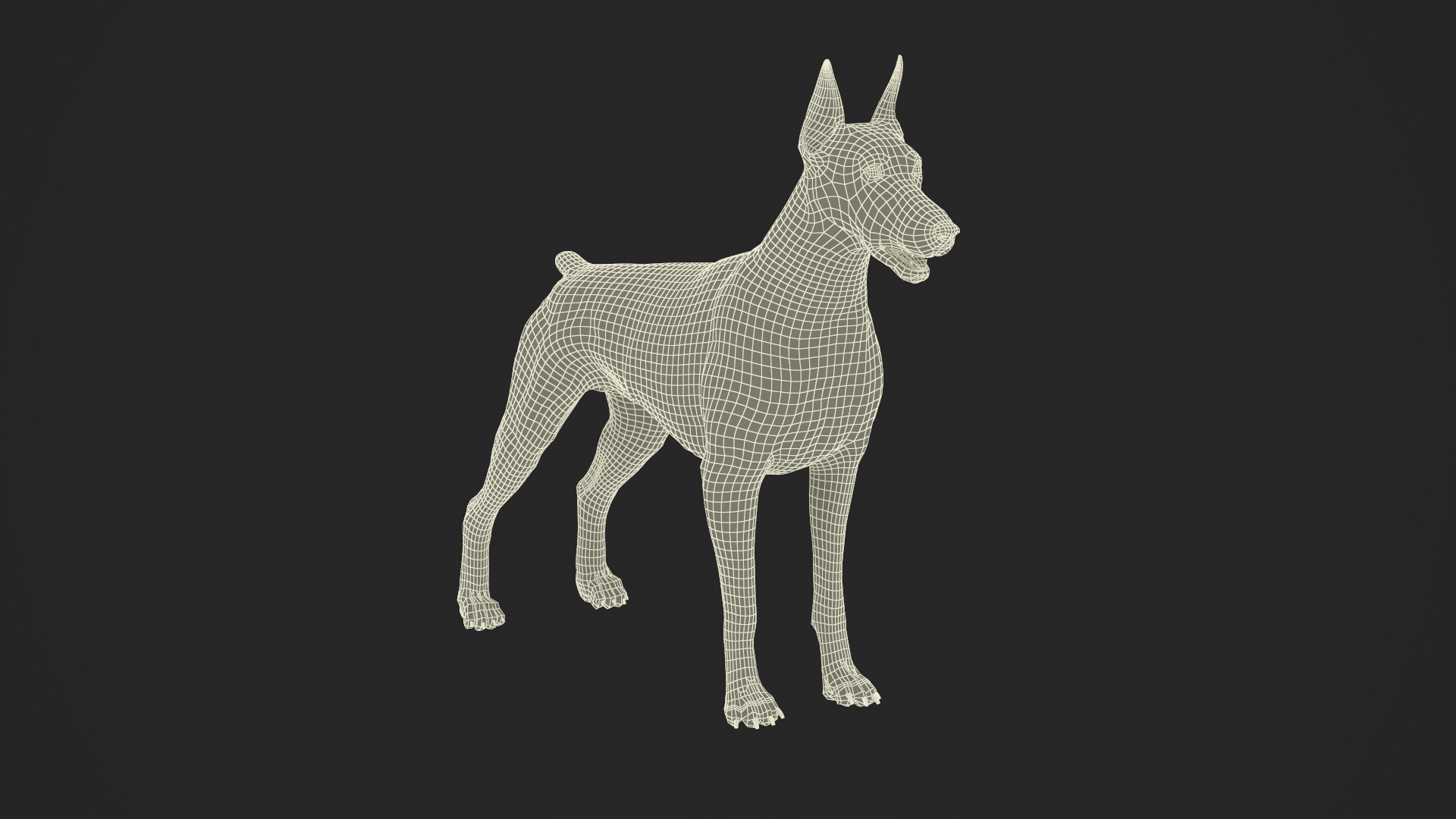 Doberman Pinscher Fur for Maya model https://p.turbosquid.com/ts-thumb/FX/3ftI2y/V2/doberman_pinscher_fur_361/jpg/1753821017/1920x1080/turn_fit_q99/8d61f9c5d9924015edb5451ced3c9ba687693de8/doberman_pinscher_fur_361-1.jpg