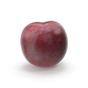 plum fruit food model