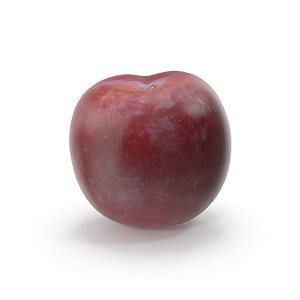 Plum Realistic